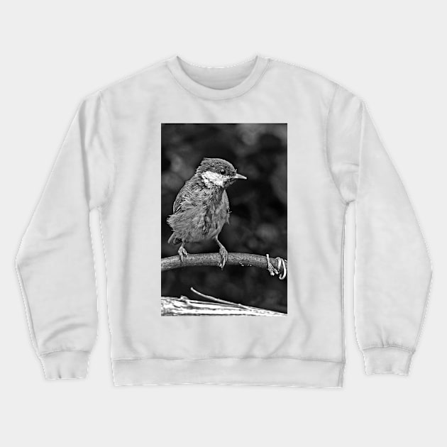 LE PANASONIC FZ 200 PAR OKAIO CRÉATION Crewneck Sweatshirt by caillaudolivier